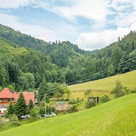 Friedershof Apartment Oberharmersbach